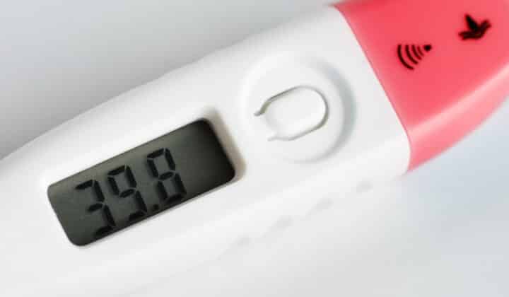 Closeup of a digital food thermometer