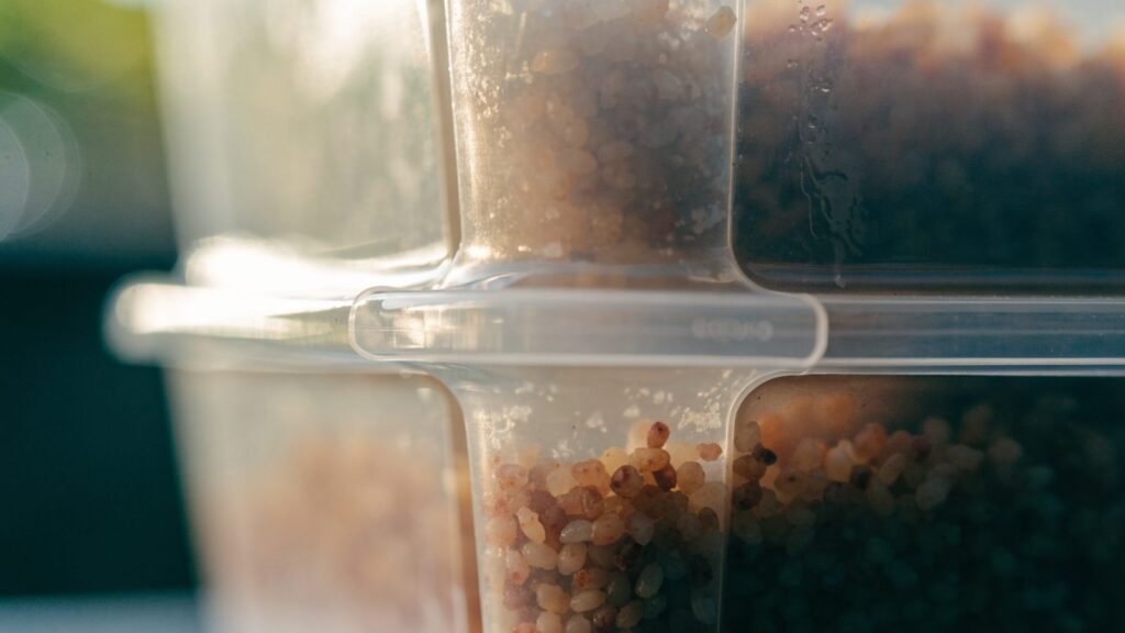 Close-up of a meal prep container's internal divider wall